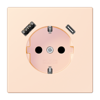 Розетка 2K+З USB Typ AC Jung LC1520-15CA226