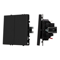 Выключатель звонковый 2 кл софт-тач черный оникс Arlight SWT-MKR2-SFPL-BK (250V, 10A) 061738(1)