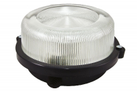 Настенно-потолочный светильник TDM Electric НПП 03-100-005.03 SQ0311-0004