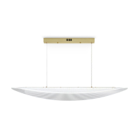 Подвесная люстра Freya Cloud FR5441PL-L40G