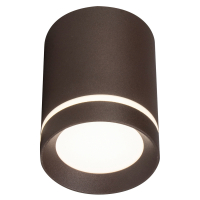 Потолочный светильник 20009 20009SMU/01LED CF