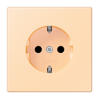 Розетка Schuko Jung LC1520223