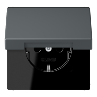 Розетка 2K+З с крышкой Jung LC1520BFKL202