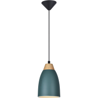 Подвесной светильник Toplight Leah TL0724H-2G