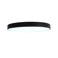 Потолочный светильник Zortes Tortty ZRS.02563.96