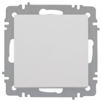 Выключатель 1-кл. СП Accent 6-101-01 10А IP20 250В AL/CU бел. Intro Б0063469