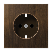 Розетка Jung ME1520KIPLAT