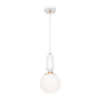 Подвесной светильник Loft IT 9975-A