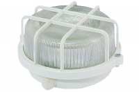 Настенно-потолочный светильник TDM Electric НПП 03-100-005.04 SQ0311-0001