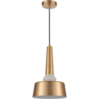 Подвесной светильник Vele Luce Appassionato VL2144P01