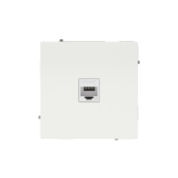 Розетка компьютерная 1-м KANT RJ45 кат.6A без шторки бел. магнолия DKC 7000673