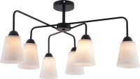 Люстра на штанге Rivoli Jodie 9190-306 Б0070153