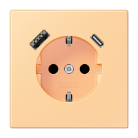 Розетка 2K+З USB Typ AC Jung LC1520-15CA258