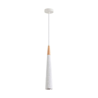 Подвесной светильник Lumion Suspentioni Eoliana 8352/1C