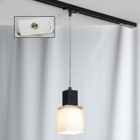 Трековый светильник однофазный Lussole Track Lights LSC-2506-01-TAW