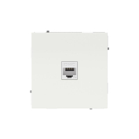 Розетка компьютерная 1-м KANT RJ45 кат.5E без шторки бел. магнолия DKC 7000663