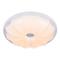 Потолочный светодиодный светильник Escada 10231/S LED