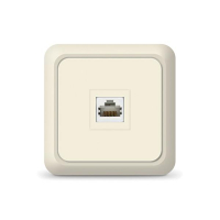 Розетка компьютерная 1-м Олимп сл. кость UNIVersal 1073