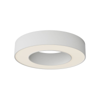 Потолочный светильник Maytoni Technical Lua C093CL-24W3K-W