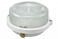 Настенно-потолочный светильник TDM Electric НПП 03-100-005.03 SQ0311-0003