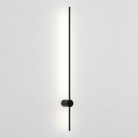 Настенный светильник ImperiumLoft Wall Lines 178036-26