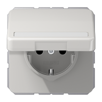 Розетка штепсельная Schuko Jung CD1520BFNAKLLG