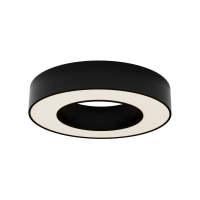 Потолочный светильник Maytoni Lua C093CL-24W3K-B