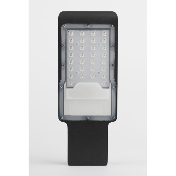 Уличный светильник Эра SPP-503-0-30K-050 Б0051836