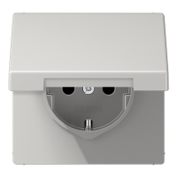 Розетка Schuko с крышкой и шторками Jung LS1520BFKIKLLG