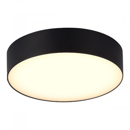 Уличный потолочный светильник ST Luce Sun SL9518.402.01