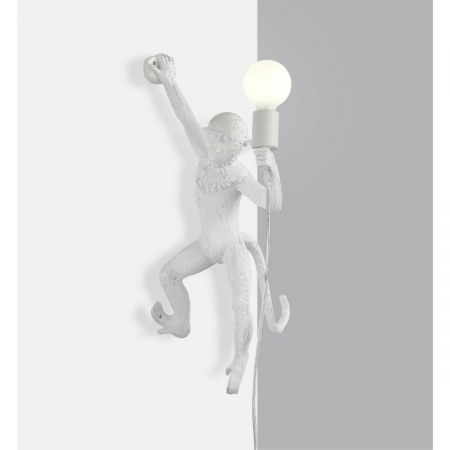 Настенный светильник Aployt Magali APL.309.11.01