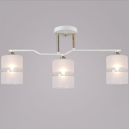 Потолочная люстра Reluce 02283-0.3-03 WT+FGD