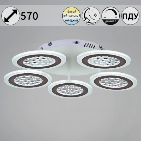 Потолочная люстра Reluce 20491-0.3-05 WT