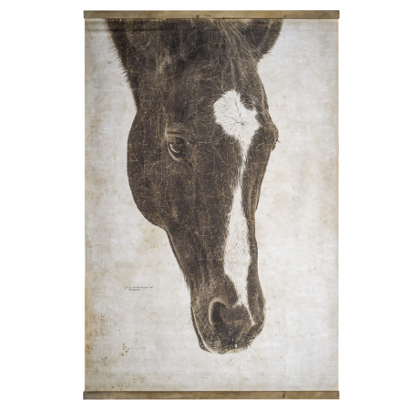 Постер Френкель Covali BR-5184