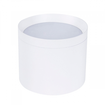 Накладной светильник Favourite Rote 4708-1C