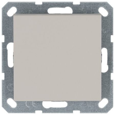 Выключатель одноклавишный проходной Jasmart 10A 250V с накладкой G3012T