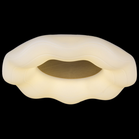 Потолочная люстра Reluce 01029-0.3-01 WOOD