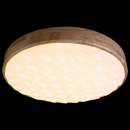 Потолочный светильник Reluce 60530-0.2-60W