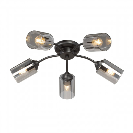 Потолочная люстра Vitaluce V2558-1/5PL