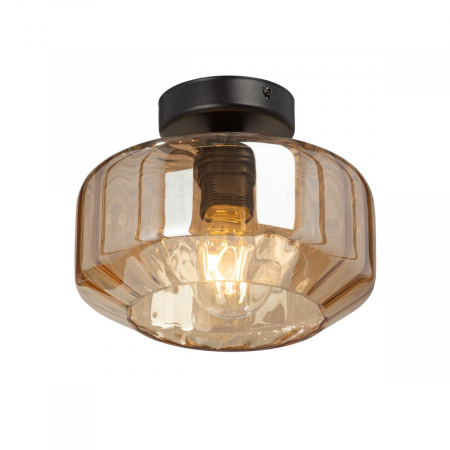 Потолочный светильник Vitaluce V2559-1/1PL