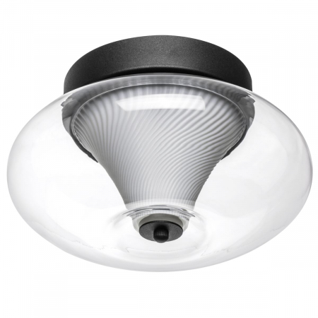 Настенно-потолочный светильник Lightstar Palermo 612017