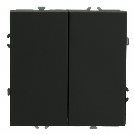 Выключатель 2-клавишный Stekker Эмили RSW10-5104-10ZK 50247