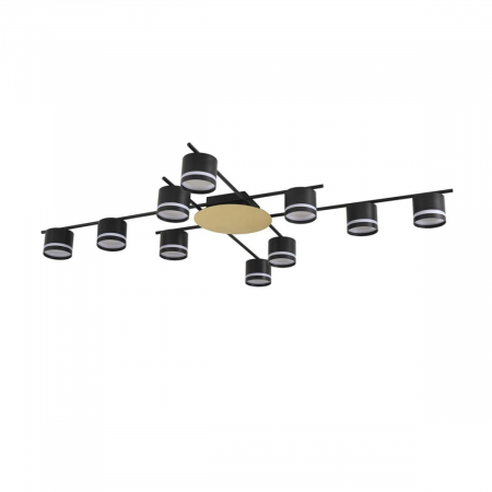 Потолочный светильник Lumion Comfi Agnia 8304/10C
