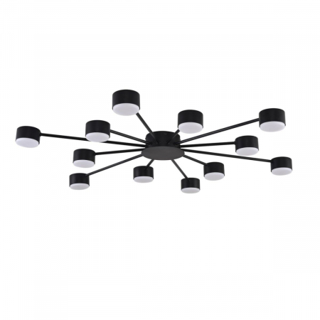 Потолочная люстра Lumion Comfi Torina 8344/12C