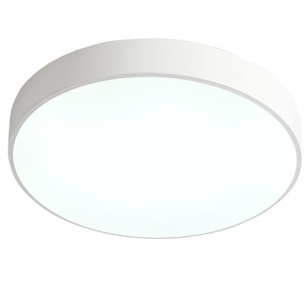 Потолочный светильник Zortes Tortty ZRS.02564.36