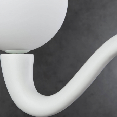 Divinare 7091/01 AP-1