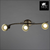 Arte Lamp A5219PL-3BR