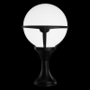 Arte Lamp A1494FN-1BK