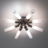 Citilux CL101181