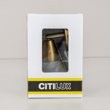 Citilux CL507513